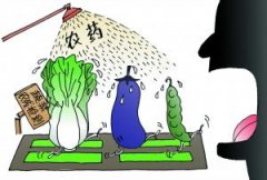 農(nóng)藥危害大？農(nóng)藥殘留檢測儀來幫忙