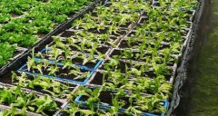 測土配方施肥儀提高有機(jī)肥施加水平